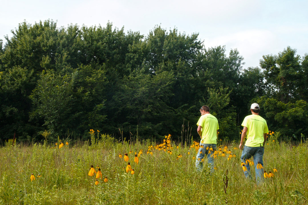 Gores WMA Landbridge Ecological