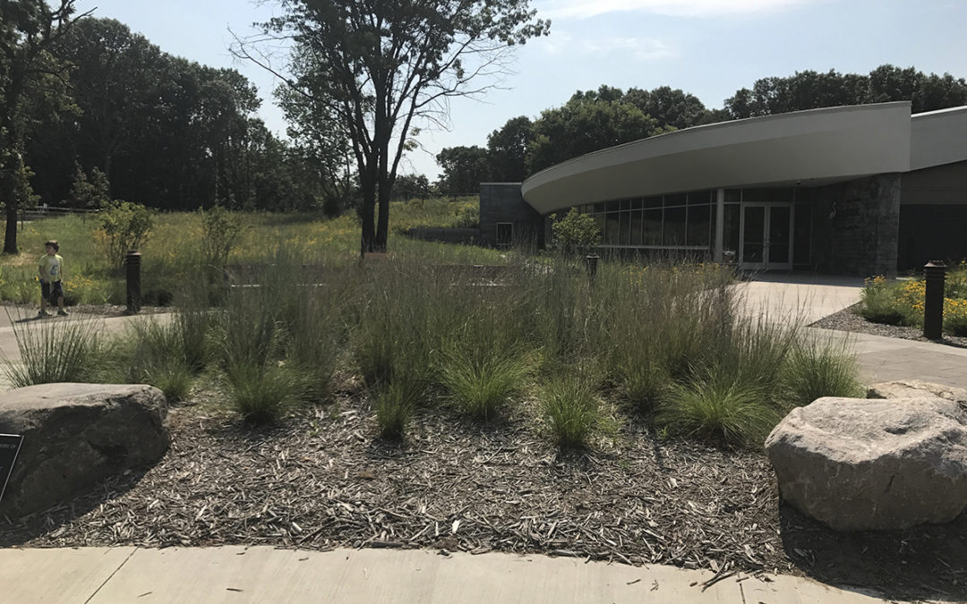 Spring Brook Nature Center