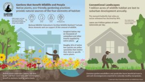 Graphic showing the differences between a diverse native landscape and a traditional lawn based landscape. 