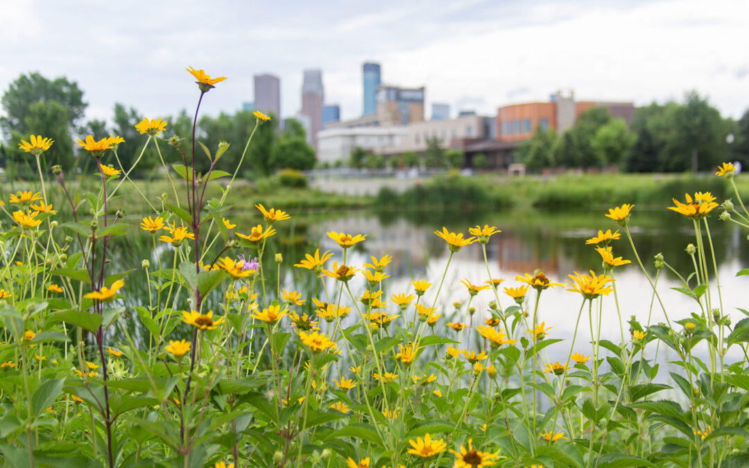 Minneapolis Stormwater Management Sites