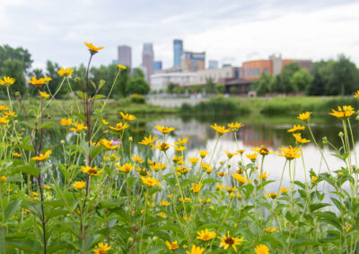 Minneapolis Stormwater Management Sites